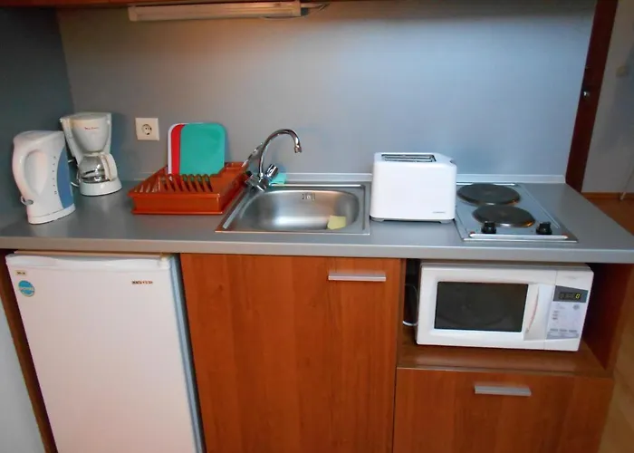 Apartamento Park 408 Borovets